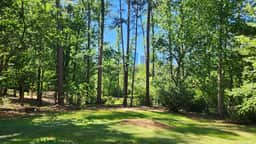 3200 W Roxboro - Image 3